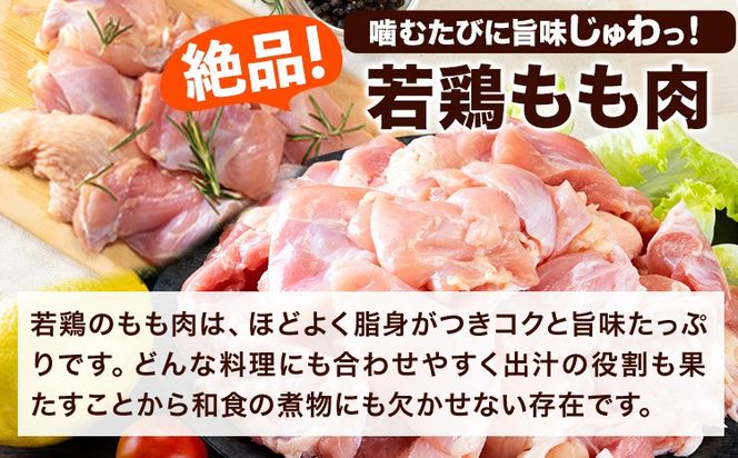 うまかチキン 全パックもも肉セット(計1種類) 合計6.2kg 3.1kg×2セット《1-5営業日以内に出荷予定(土日祝除く)》ふるさと納税 肉 とり とり肉 鳥もも肉 小分けバック 鳥 とりもも 冷凍 定期 大容量 もも肉 数量限定 簡易包装---hkw_feumaka_24_23000_6200g_s---