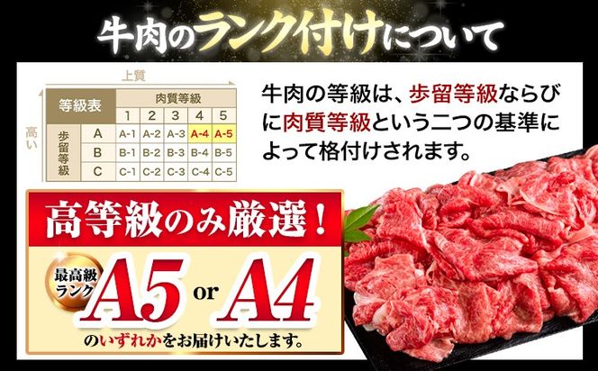 くまもと黒毛和牛 特上 スライス ウデ・モモ 500g 1000g 1500g 2000g 牛肉 冷凍 《30日以内に出荷予定(土日祝除く)》 くまもと黒毛和牛 黒毛和牛 冷凍庫 個別 取分け 小分け 個包装 モモ スライス 肉 お肉 しゃぶしゃぶ肉 すきやき肉 すき焼き---mna_fudmm_30d_r7_11000_500g---