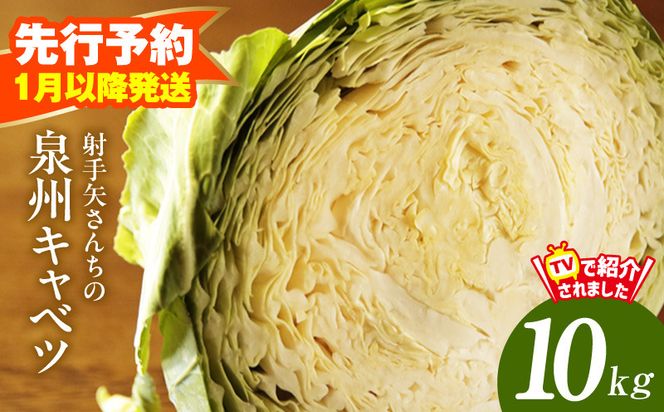 G4290 【先行予約】泉州キャベツ 10kg【新鮮 野菜 泉佐野産 やさい 射手矢農園 高評価 数量限定】