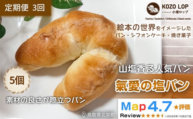 1176.【定期便3ヶ月】山塩香る人気パン 氣愛の塩パン 5個×3回 313726_BD057