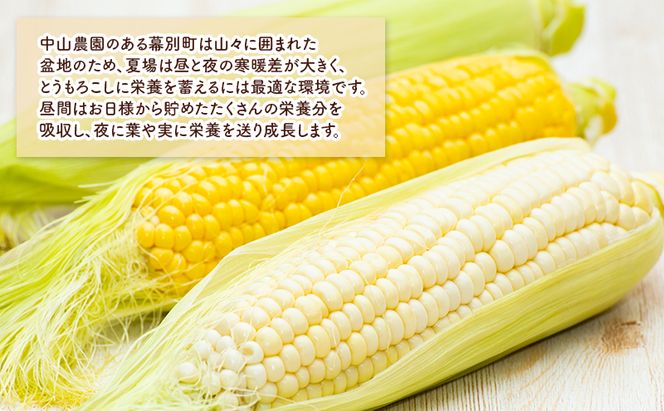 北海道 幕別町産 中山農園 朝どれ とうもろこし 3種 15本 [ 北海道産 スイートコーン 野菜  十勝 幕別 新鮮 テレビで紹介 ] 
