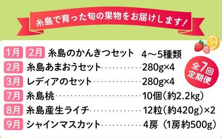 【全7回】糸島厳選くだもの定期便 約5人前 フルーツ 果物 糸島市 / やますえ あまおう シャインマスカット 桃 ライチ [AKA073]