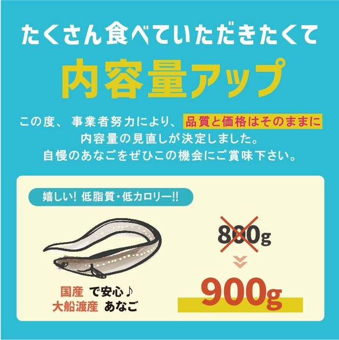 あなご開き 2～3パック(計900g) あなご 蒲焼 お吸い物 天ぷら 煮穴子 和食 海産物 味噌汁 ごはん 夕飯 おかず 大船渡 三陸 岩手県 国産 [shitabo012_1]