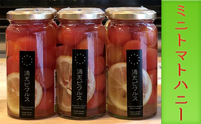 満天ピクルスおまかせ3本セット 漬物 缶詰 加工食品 