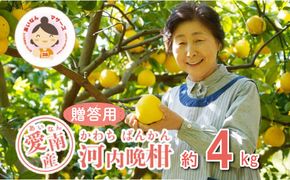 数量限定 先行予約 贈答用 河内晩柑 4kg 10000円 みかん かわちばんかん mikan 蜜柑 ミカン かわちばんかん 愛南ゴールド あいなん ゴールド 文旦 派生 和製 グレープフルーツ 産地直送 国産 農家直送 期間限定 特産品 ゼリー ジュース アイス 等に 人気 限定 甘い さわやか フルーツ 果物 柑橘 蜜柑 ギフト プレゼント あいなんマザーズ 愛南町 愛媛県