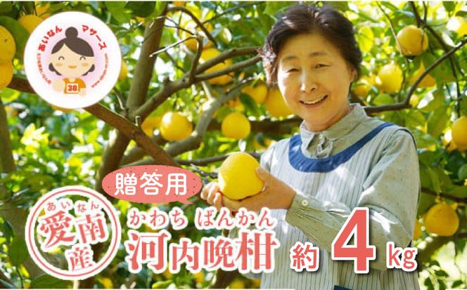 数量限定 先行予約 贈答用 河内晩柑 4kg 10000円 みかん かわちばんかん mikan 蜜柑 ミカン かわちばんかん 愛南ゴールド あいなん ゴールド 文旦 派生 和製 グレープフルーツ 産地直送 国産 農家直送 期間限定 特産品 ゼリー ジュース アイス 等に 人気 限定 甘い さわやか フルーツ 果物 柑橘 蜜柑 ギフト プレゼント あいなんマザーズ 愛南町 愛媛県
