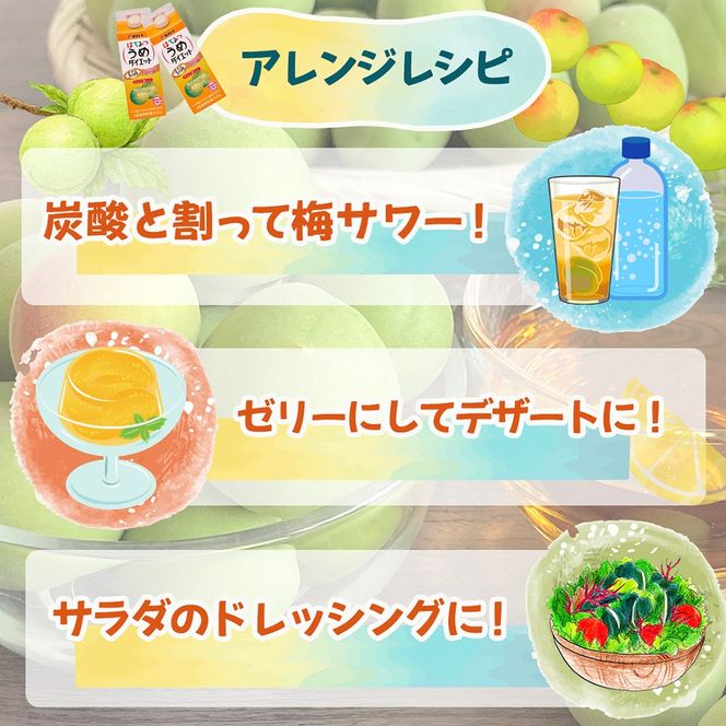 はちみつうめダイエット濃縮タイプ 500ml×12本 タマノイ酢 さっぱり梅風味 はちみつ入り 飲用アレンジや料理にも 日本製 お酢 | 梅酢ドリンク 濃縮 はちみつ梅ドリンク 梅ジュース 濃縮タイプ 梅シロップ 飲料用 梅ドリンク まとめ買い 健康管理 美容に嬉しいプロアントシアニジン（ポリフェノール）