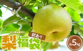 2026年予約 訳あり梨 梨福袋  5kg