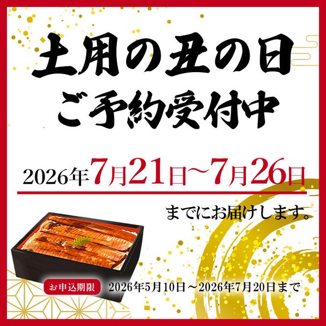 大型サイズ ふっくら柔らか 国産うなぎ蒲焼き 1尾（約2人前）化粧箱入［夏土用の丑の日のうなぎ］［～7月26日までにお届け］［UT04］ 303446_XF91092-GFT