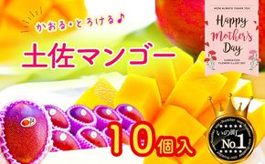 【母の日お届け】かおる・とろける！土佐マンゴー10個