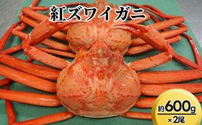 【おすすめ】紅ズワイガニ約600g×2尾【棚辺水産】※2025年9月中旬～2026年3月下旬頃に順次発送予定　※離島への配送不可
