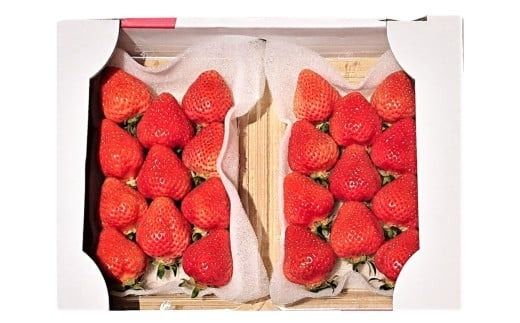 春のあまおう （2L・2A・G規格以上 6パック） 合計約1.5～1.62kg 【数量限定】 【2026年3月上旬～4月下旬発送予定】 あまおう 苺 いちご 果物 果実 フルーツ 国産 九州 福岡県 香春町 冷蔵