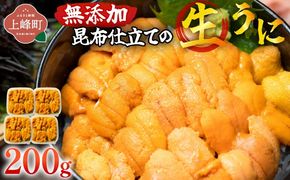 無添加 昆布仕立ての生うに 50g×4P | 生うに 無添加 うに 昆布仕立て 50g 刺身用 海鮮 冷凍 お取り寄せ ギフト 人気 高級 ご褒美用 海鮮丼用 ウニ丼用 高級食材