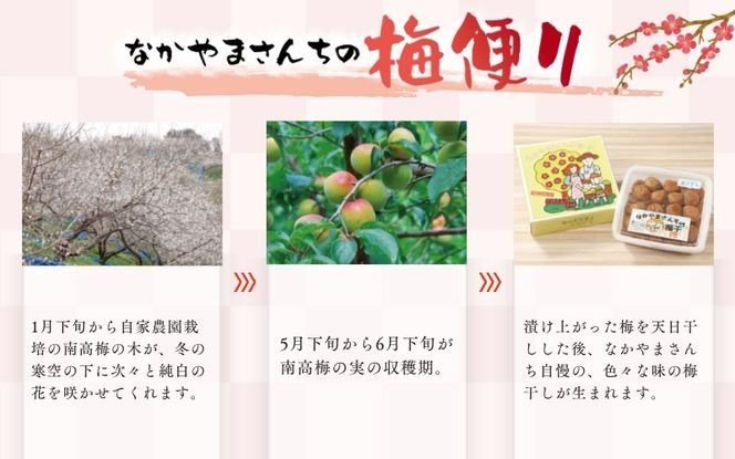 紀州南高梅　かつお【ハチミツ無】 塩分10%（1.5kg）なかやまさんちの梅干　うめ　ウメ【nky003-215k】