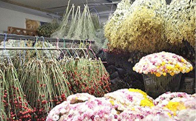 ＜おうちでアレンジ！＞ドライフラワー（黄色系）プレゼント付 北海道 南富良野町 ドライフラワー 花 お花 華 花束 ファッション小物 インテリア 贈り物 