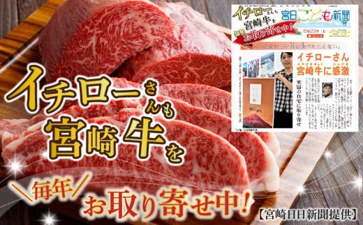 宮崎牛切り落とし1kg_MJ-8908_(都城市) 宮崎県産 宮崎牛 牛肉 A4ランク 切り落とし 切落し 250g × 4パック 小分け  1kg 牛丼 炒め物 便利