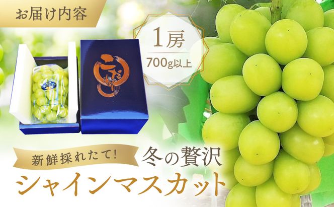 【2026年先行予約】 ぶどう 冬の贅沢 シャインマスカット 1房(700g以上)【11月20日から12月12日の期間に発送】 葡萄 ブドウ 岡山県産 フルーツ 果物 数量限定 期間限定 岡山 里庄町 