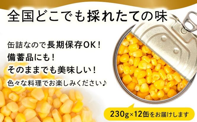 北海道 自然甘 ホールコーン 7号 230g×12缶 スイートコーン コーン とうもろこし とうきび トウモロコシ 缶詰 国産 甘い 長期保存 備蓄 常温 クレードル 送料無料