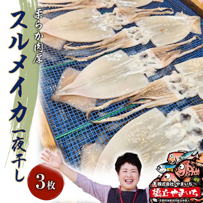 柔らか肉厚のスルメイカ一夜干し 3枚 魚貝類 イカ いか スルメイカ お酒 つまみ 特大 新鮮 保存 冷凍 国産 送料無料 酒の肴 酒のつまみ  myz02 myz09 myz11 myz17 myz23