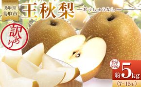 【先行予約】訳あり 数量限定 鳥取県産 王秋梨（おうしゅうなし） 約5kg （7～15玉）≪2026年11月中旬頃出荷≫ 312011_GT003