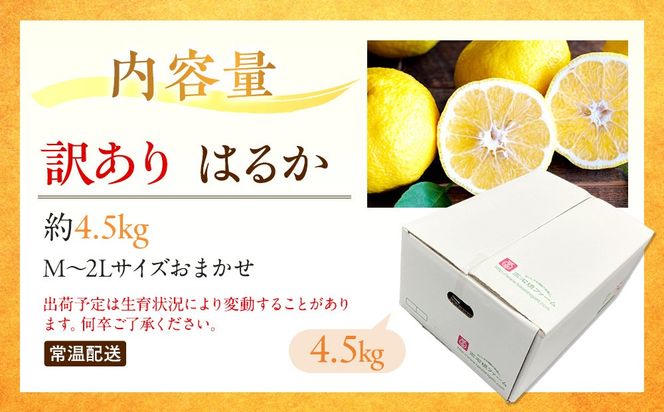 訳あり はるか 4.5kg M～2Lサイズおまかせ 高石垣ファーム K019