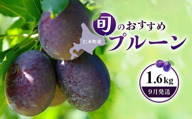 [先行受付] 【9月発送】北海道 仁木町産 おすすめプルーン1.6kg（400g×4パック） 果物類 果物 くだものフルーツ 果物詰合せ プルーン [和田農園]