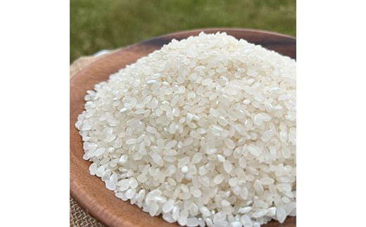 自然栽培米（白米2kg×2種）旭・初霜・コシヒカリのうちいずれか2種 お米 ごはん 農薬不使用 F6P-1938