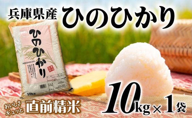 【７営業日以内発送】ヒノヒカリ 10kg 白米 令和７年産 【城口商店】米 お米 10kg 米10kg 兵庫県産 ひのひかり ヒノヒカリ 令和7年産 R7年産 2025年産 精米