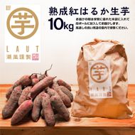 【先行予約】 12月以降発送 干し芋屋のさつまいも 熟成 紅はるか 生芋 10kg 無添加 無着色 茨城県産 サツマイモ 土付き 芋 さつまいも さつま芋 薩摩芋 紅遥 べにはるか