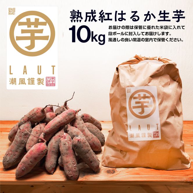 【先行予約】 12月以降発送 干し芋屋のさつまいも 熟成 紅はるか 生芋 10kg 無添加 無着色 茨城県産 サツマイモ 土付き 芋 さつまいも さつま芋 薩摩芋 紅遥 べにはるか