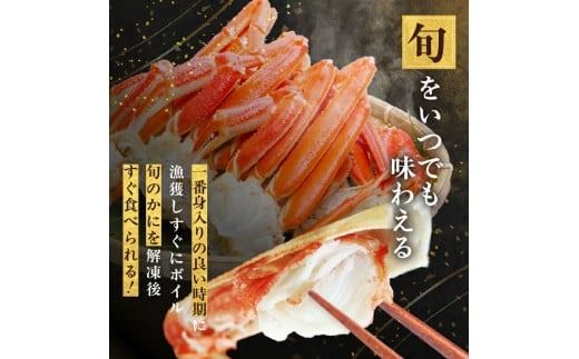 ずわいがに脚 3L～5Lサイズ2.6kg_HD065-007