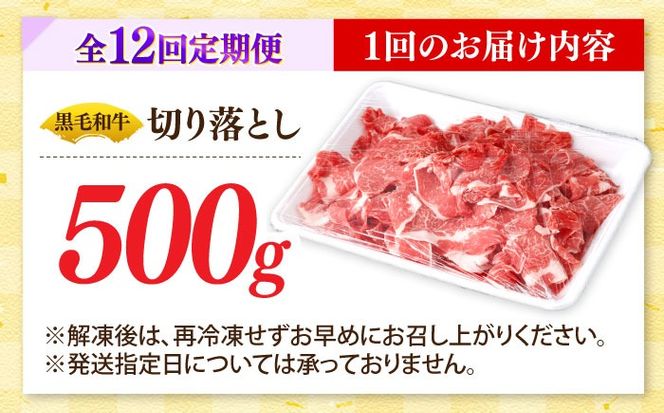 【12回定期便】国産 黒毛和牛 熟成肉 切り落とし 500g / 小分け 国産牛 お肉 牛肉 切落し 冷凍 焼肉 すき焼き / 南島原市 / ふるさと企画[SBA099]