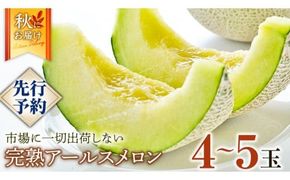 完熟 アールスメロン 大箱 4玉～5玉 2026年産 先行予約 メロン マスクメロン 青肉 果物 フルーツ 茨城県産 期間限定 数量限定 [AF082ci]
