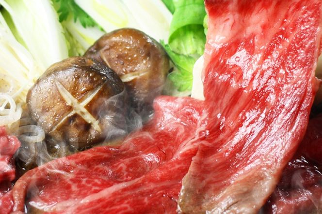 博多の名物 6回 定期便 国産牛 上ホルモン もつ鍋 & 博多和牛 スライス [ベネフィス 福岡県 筑紫野市 21761203] もつ鍋セット セット モツ鍋 福岡 牛肉 和牛