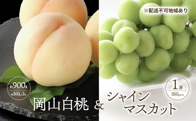 桃 ぶどう 2027年 先行予約 白桃 3玉 合計約900g （1玉約300g） シャインマスカット 晴王 1房 550g以上 もも 葡萄 詰合せ 岡山 国産 フルーツ 果物 ギフト 桃茂実苑