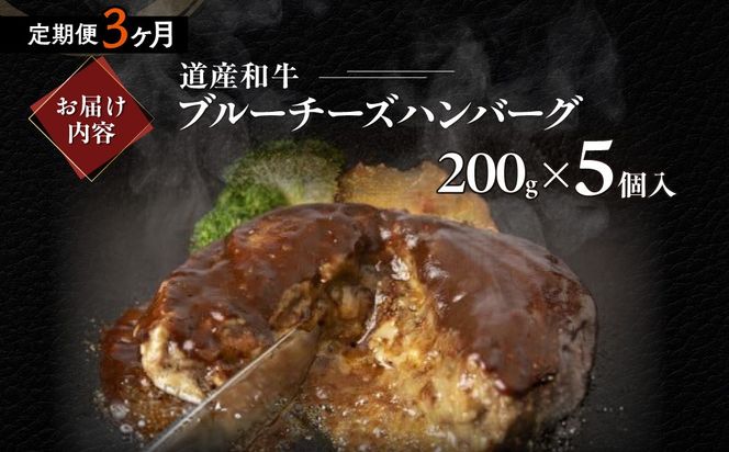 【3ヶ月定期便】道産和牛ブルーチーズハンバーグ（200g）5個入り MROA193