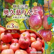 【先行予約】仲野りんご園の奥久慈りんご（各種詰め合わせ）約3kg（9～12玉）｜茨城県 大子町 エコファーマー 樹上完熟 林檎 アップル 紅玉 秋映 陽光 シナノスイート 食べ比べ 果物 フルーツ 旬 秋 味覚 ギフト 贈答（DF002）