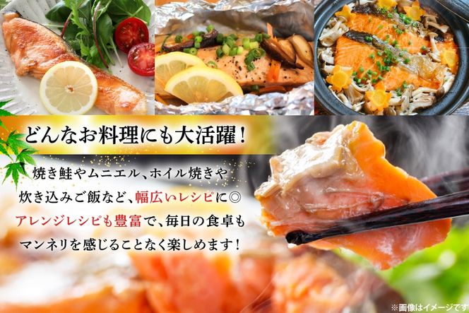 鮭 6回 定期便 厚切り 塩銀鮭 A品 切り身 約1kg 総計6kg [安田 宮崎県 日向市 452061475] 銀鮭 鮭 魚介類 海鮮 さけ サケ 鮭切身 シャケ 切り身 1kg 1キロ 冷凍 家庭用 おかず 弁当 銀鮭切り身 魚