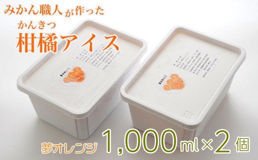 みかん職人が作った柑橘アイス1000ml×2（夢オレンジ×２）