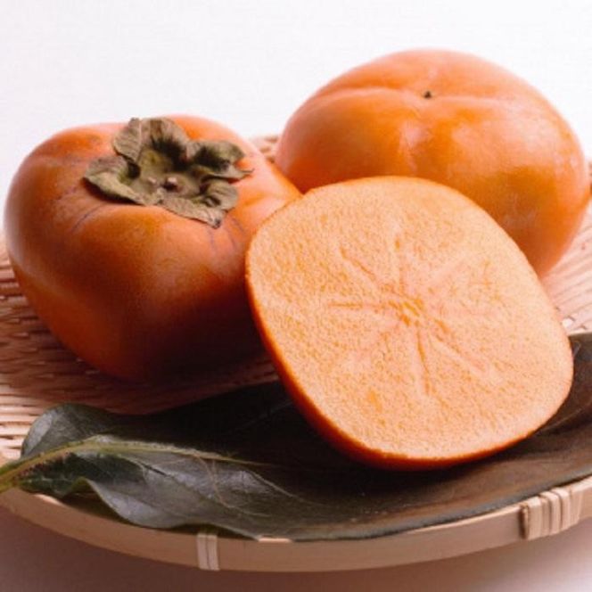 ［先行予約］厳選 たねなし柿 約5kg［刀根早生・平核無柿（ひらたねなしかき）］[カキ・種無柿・種無し柿・種なし柿・無核柿］［IKE283］ 303446_BB97392