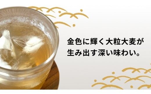 【 3ヶ月 定期便 】  JA北つくば JGAP認証 麦茶 1箱 ( 500ml × 24本 ) JGAP JA お茶 茶 ペットボトル 麦 大麦 二条大麦 ノンカフェイン カフェインゼロ [AE021ci]