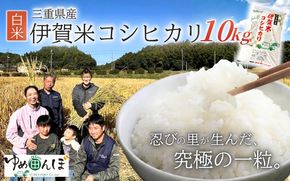 三重県産　伊賀米コシヒカリ　10kg　白米【ymtb0003】