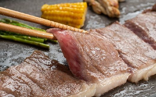 松阪牛プレミアム定期便（～７月受付・８月から毎月発送）【21.4-1】