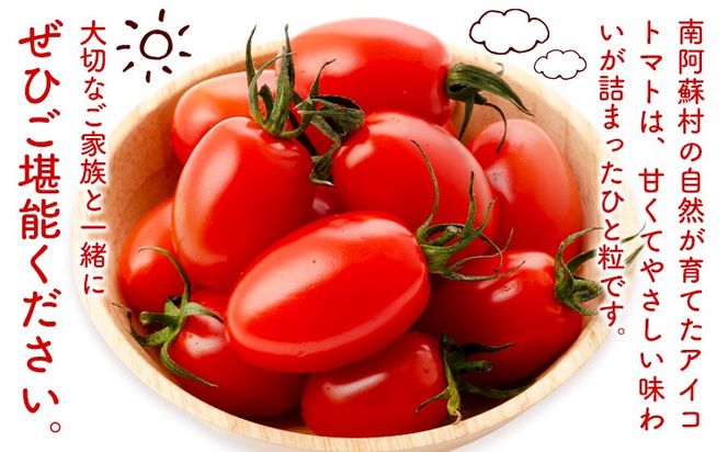 ミニトマト アイコ 約2kg 約3kg ますだふぁーむ《7月上旬-11月末頃出荷》熊本県 南阿蘇村 アイコトマト 野菜 旬 夏野菜 トマト---sms_msf_af711_r7_11000_2kg---