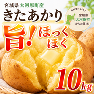 じゃがいも きたあかり 10kg 産地直送 農家直送 野菜 キタアカリ  甘い ホクホク ポテトサラダ コロッケ じゃがバター 常温 保存 備蓄 大容量 サイズ 不揃い 混合 家庭用 おうちごはん 送料無料　大河原町
