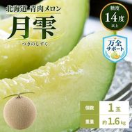 〈先行受付〉【2027年夏発送】北海道 青肉メロン 月雫 秀品 1玉 約1.6kg 令和9年 メロン 果物 フルーツ 旬 季節 希少 甘い 豊潤 国産 北海道産 デザート ご褒美 産地直送 産直 ギフト お祝い 贈答品 贈り物 お中元