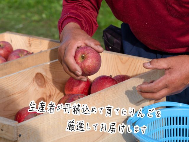 りんご 青森 サンふじ リンゴ 約 5kg (14～18玉) 青森県 鰺ヶ沢町産 ヒバリノ園 フルーツ 果物 果物類 白神山地 林檎 サンフジ ふじ ※オンライン決済のみ 