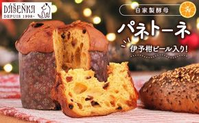 自家製酵母使用のパネトーネ！！ 1個入り ｜ お菓子 おやつ