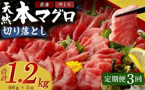 【定期便 / ３ヶ月連続】 天然本マグロ (赤身・中とろ) 切り落とし 合計1.2㎏  (100g×4パック×3回) マグロ 刺身 刺し身 魚 惣菜 海鮮丼 魚介類 食べきりサイズ 小分け 冷凍 訳あり 不揃い 傷 規格外 定期 連続 30000 室戸定期便 tk072