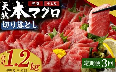 【定期便 / ３ヶ月連続】 天然本マグロ (赤身・中とろ) 切り落とし 合計1.2㎏  (100g×4パック×3回) マグロ 刺身 刺し身 魚 惣菜 海鮮丼 魚介類 食べきりサイズ 小分け 冷凍 訳あり 不揃い 傷 規格外 定期 連続 30000 tk072